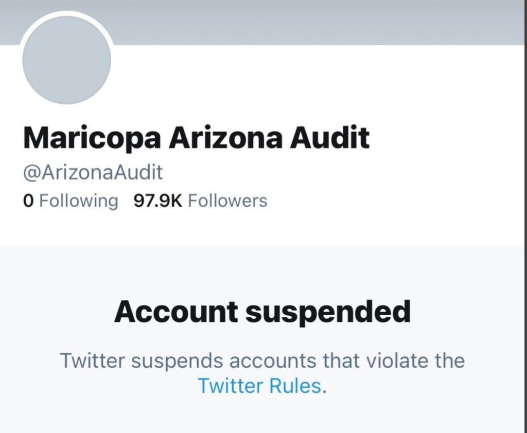 Breaking: Twitter Suspends All Election Audit ‘War Room’ Accounts; Senator Wendy Rogers Predicts She Will Be Next