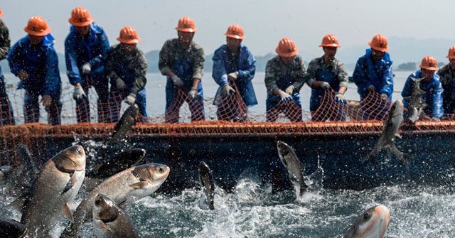 Kenya to Ban Chinese Fish Imports After Beijing Destroyed Local Fishing Industry