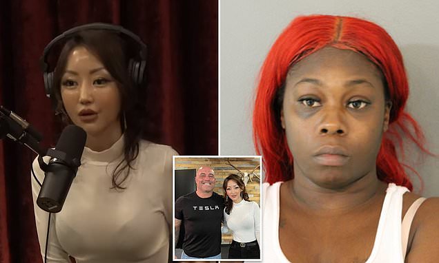 'Woke America is like N.Korea': Defector Yeonmi Park reveals she was mugged in Chicago by three black women but when she restrained one she was called racist and forced by white bystanders to let her GO