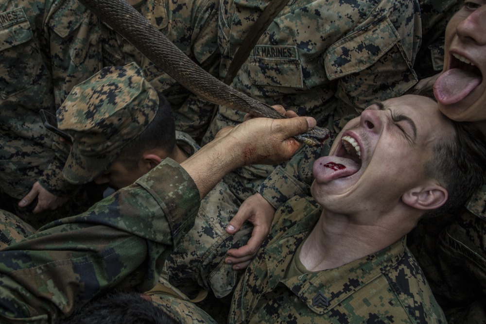 US, Thai Marines cave to PETA pressure, stop eating snakes, scorpions in survival exercise