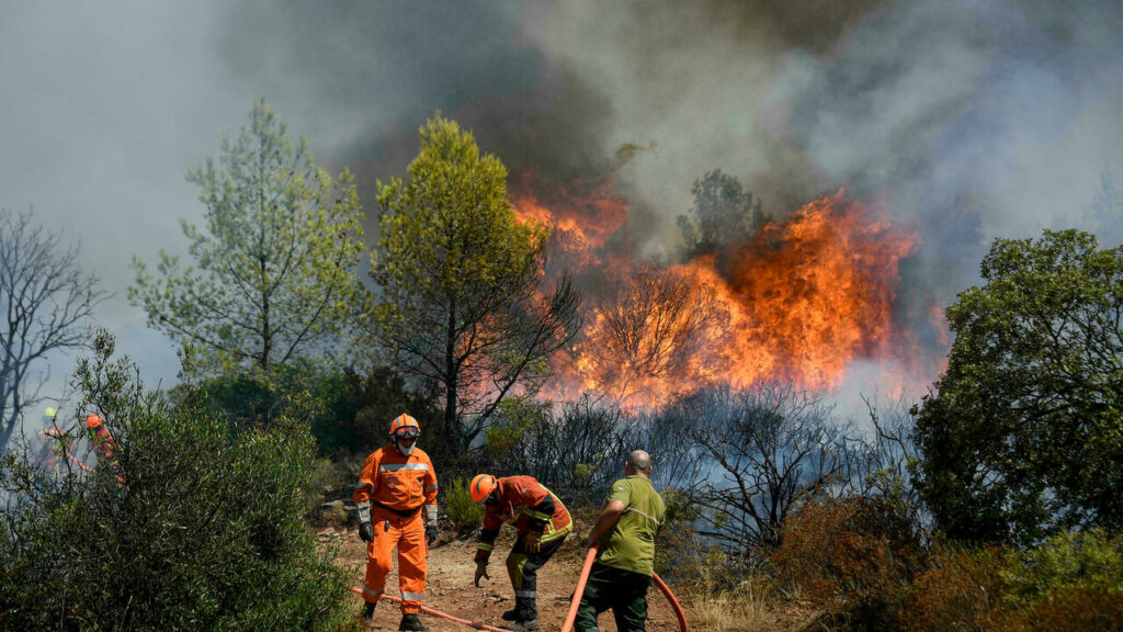 Thousands evacuated in southern France as wildfire spreads