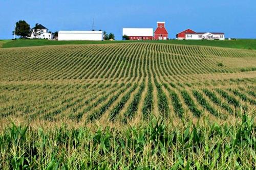 How Biden's American Families Plan Could "Destroy" Iowa Farmers