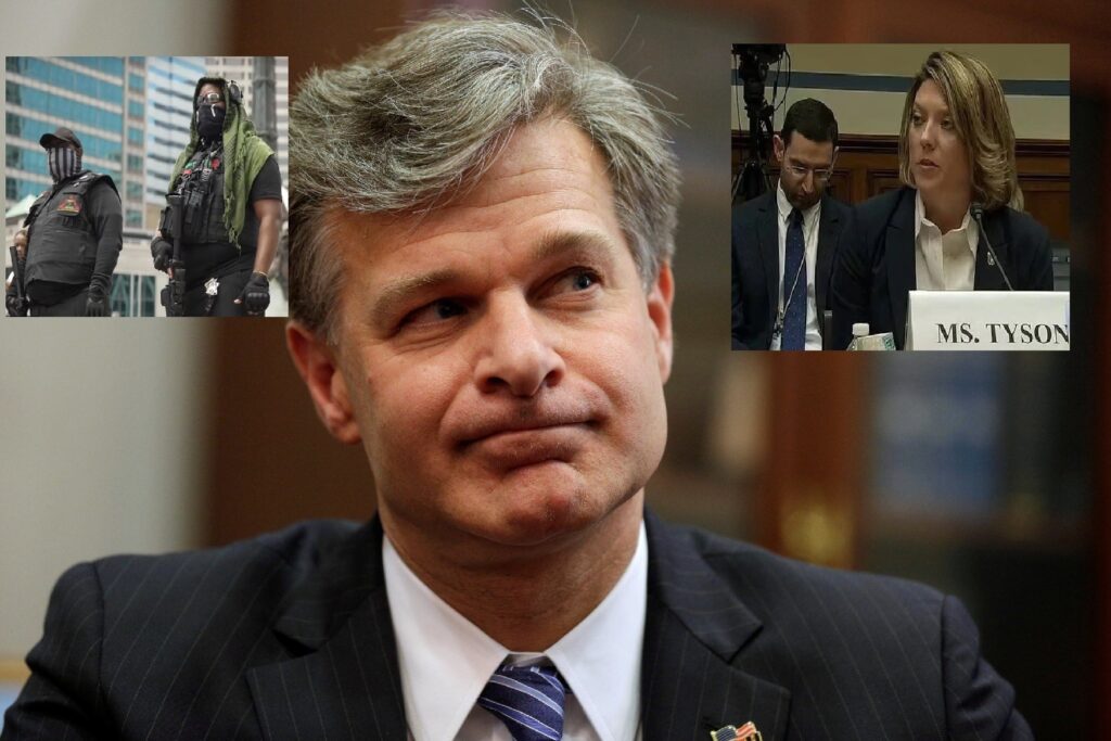 Wray Deputy In Sordid Scandal Admitted That FBI Ended Its Black Extremism Category, Replaced It With Program Targeting ‘White’ January 6 Protesters