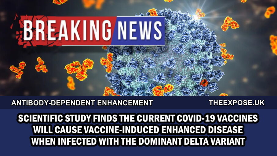 BREAKING: Study Finds The Current Covid-19 Vaccines Will Cause ‘Vaccine Induced Enhanced Disease’ When Infected With Delta