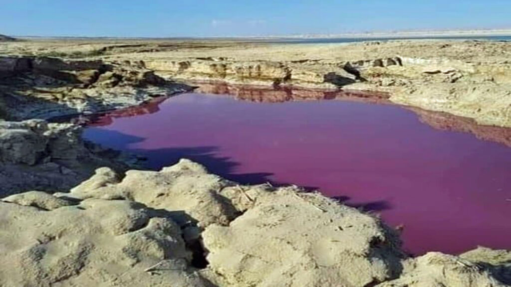 Water Turns Blood Red In Middle East Near Dead Sea In Jordan