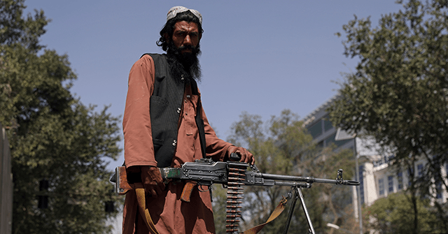 ‘Make the Taliban Great Again’ — Filmmaker Raises Money from Berkeley Students to Fund Taliban, Kill Americans