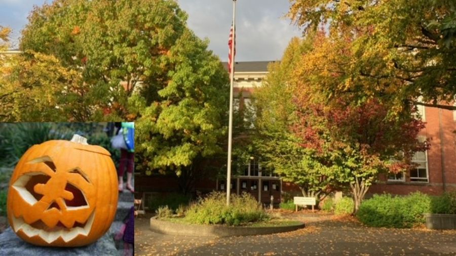 Rantz: Seattle school cancels Halloween over ‘equity,’ says Black kids don’t celebrate