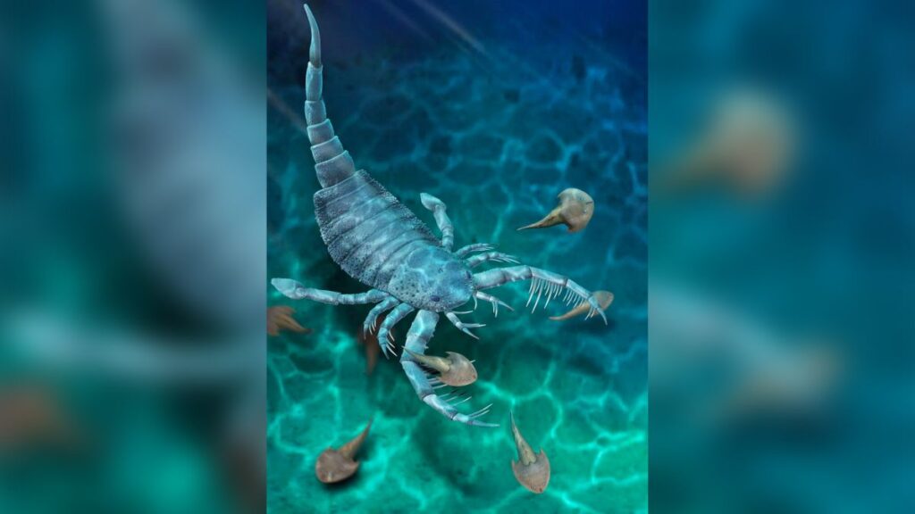 Ancient dog-size sea scorpion unearthed in China