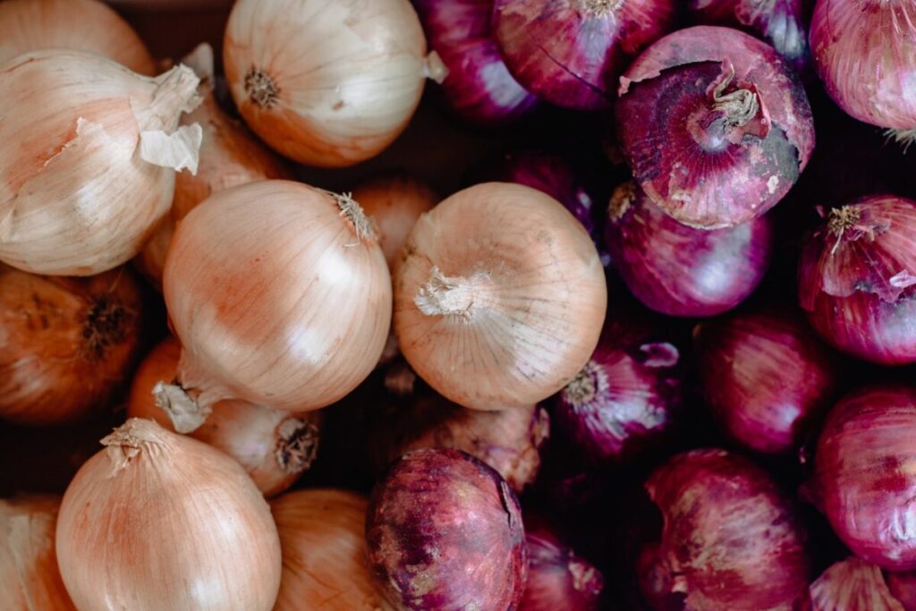 Salmonella Outbreak in Multiple States Linked to Onions: CDC