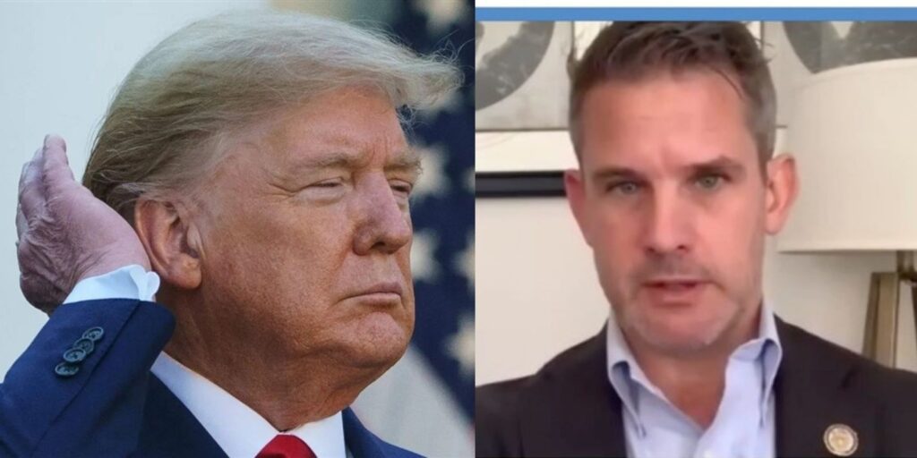 'Two down, eight to go!' Trump on Kinzinger's retirement