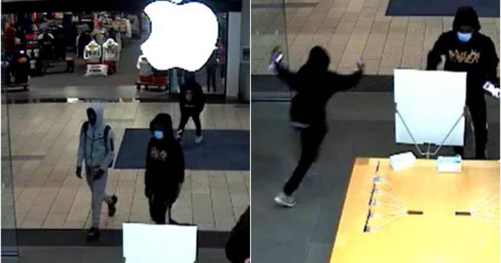 San Francisco Apple store hit by daytime smash-and-grab robbery