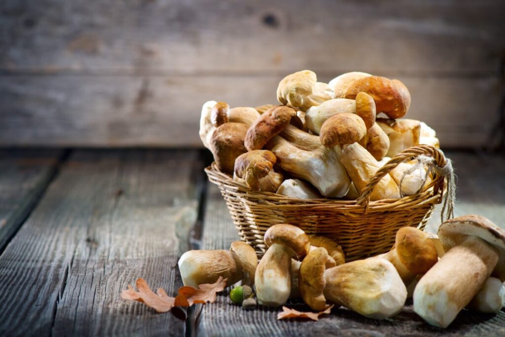 UCSD and UCLA Host Clinical Study of Herbs, Mushrooms In Treating COVID-19