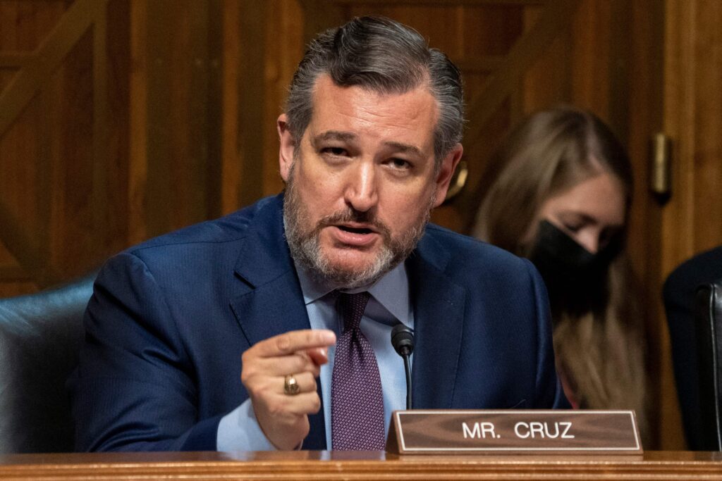 Cruz Declares VA Election Will Be the 'Canary in a Coal Mine' Ahead of 2022 Midterm Elections