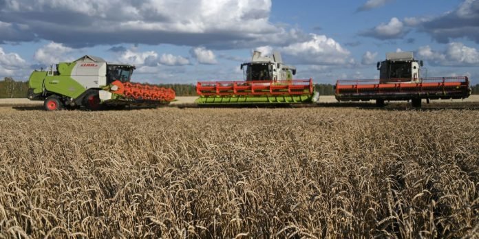 The apocalypse is near! Food production collapse! Soaring wheat prices from the U.S. to Russia are raising bread costs