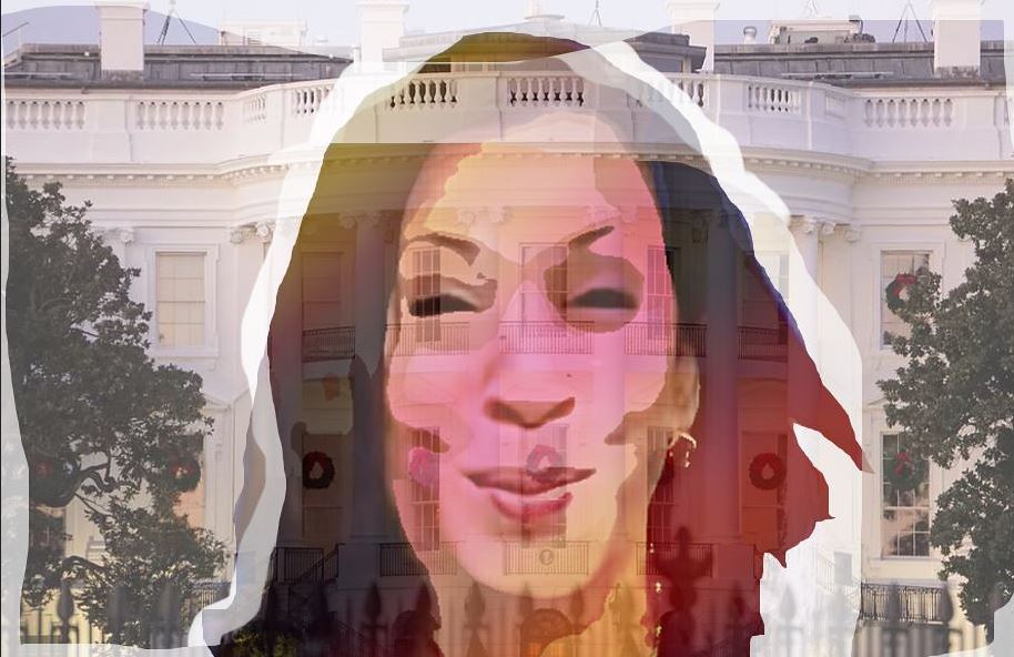 Power struggle: The White House bid to oust Kamala Harris