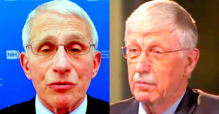 Drs. Fauci and Collins defamed scientists who opposed quarantines, official emails reveal