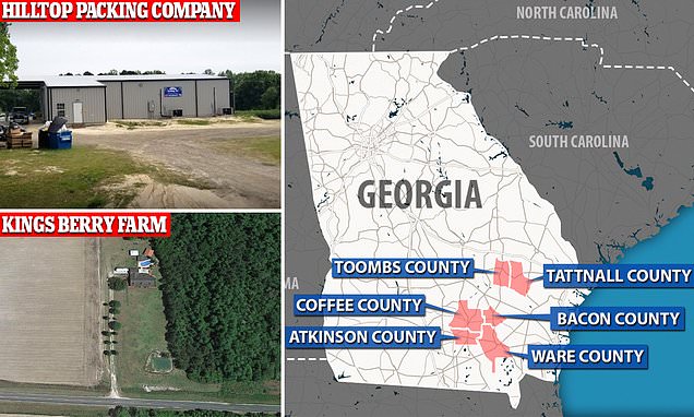US slavery, 2021: Human-trafficking ring trapped hundreds of migrant workers picking onions for 20-cents per bucket in south Georgia as part of years-long $200M operation that saw two die and another repeatedly raped