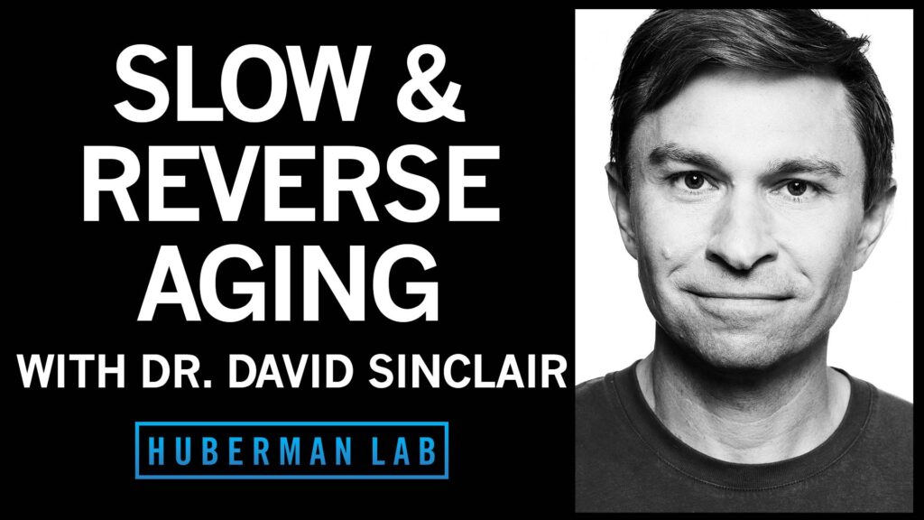 DR. DAVID SINCLAIR: THE BIOLOGY OF SLOWING & REVERSING AGING