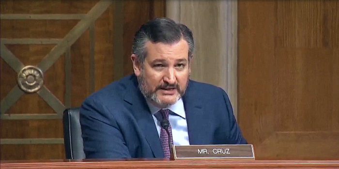 Sen. Cruz Blasts Taxpayer-Funded Critical Race Theory Education Program