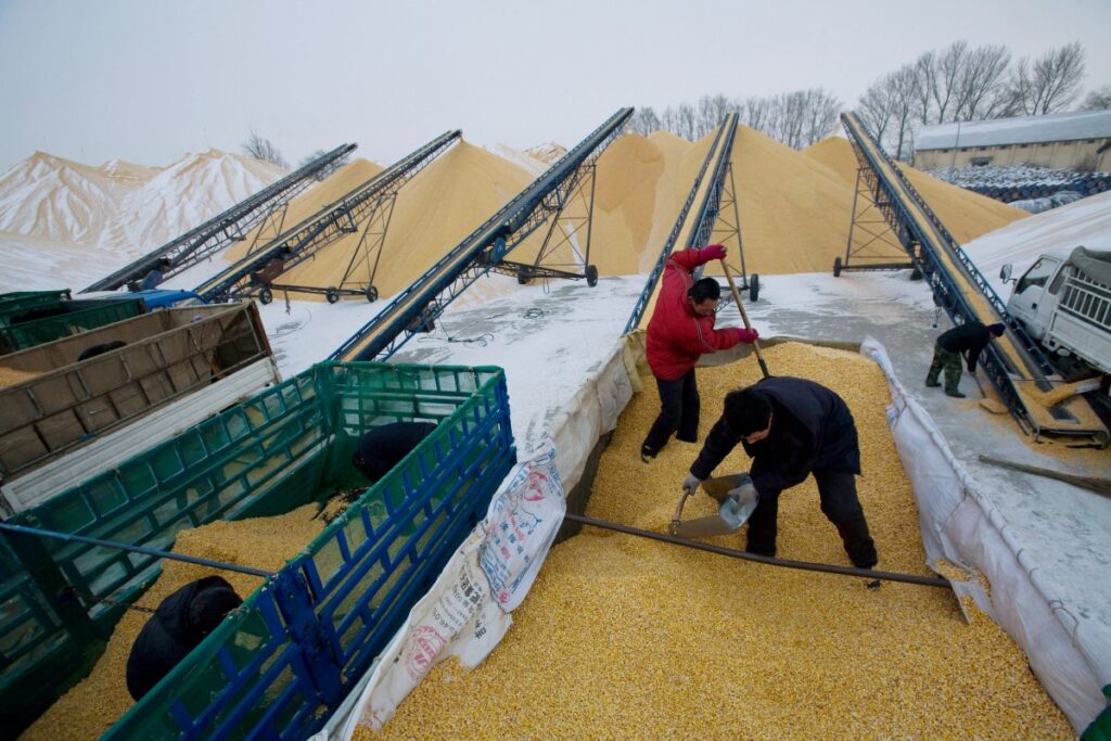 China’s Hoarding of Food Grains Is Contributing to Rising Global Food Prices, Experts Say