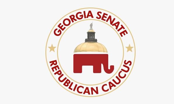 Here’s Why Georgia Senate Didn’t Decertify the Obviously Corrupt 2020 Election Results in the State