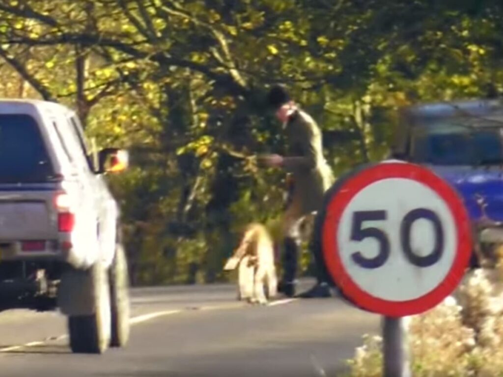 Someone will be killed by hunt activity on roads, warns crash investigator