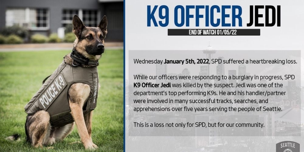 Seattle police say that K9 officer's death was due to 'less lethal weapons ban'