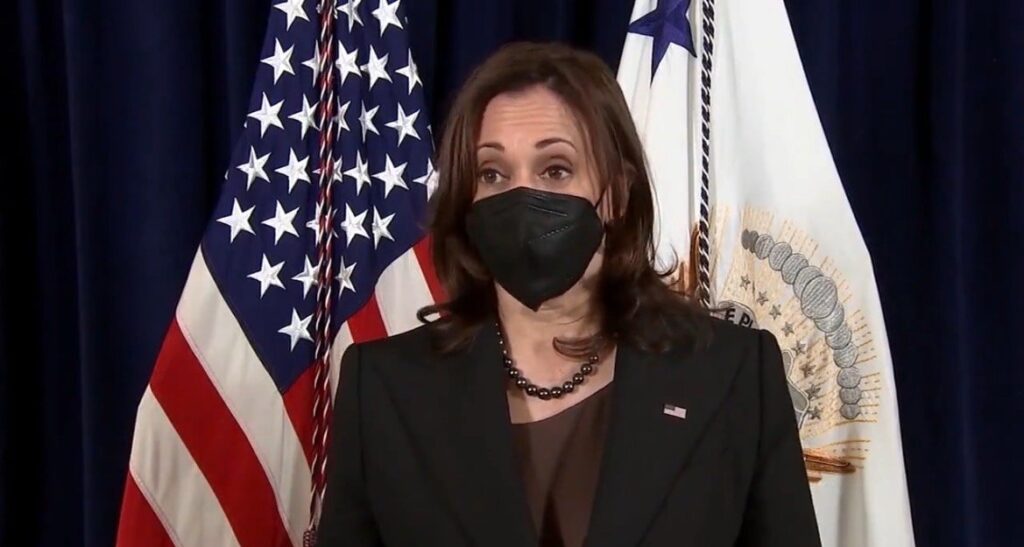 Kamala Harris Says One of Her “Expectations” This Year is Mass Amnesty For Millions of Illegal Aliens (VIDEO)