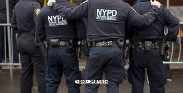 NYC Is Arresting Those Without ‘Papers’ – Including Children – and It Won’t Stop There