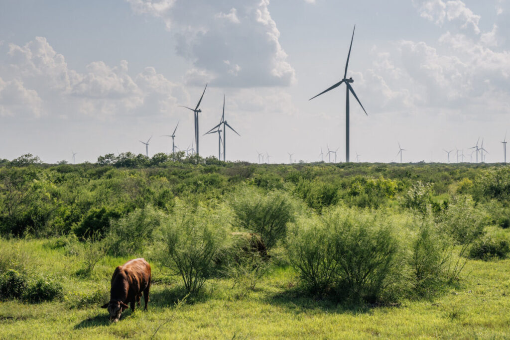 Texas Relies More on Wind Than Coal for Its Energy—But Is It Ready for Another Winter Storm?