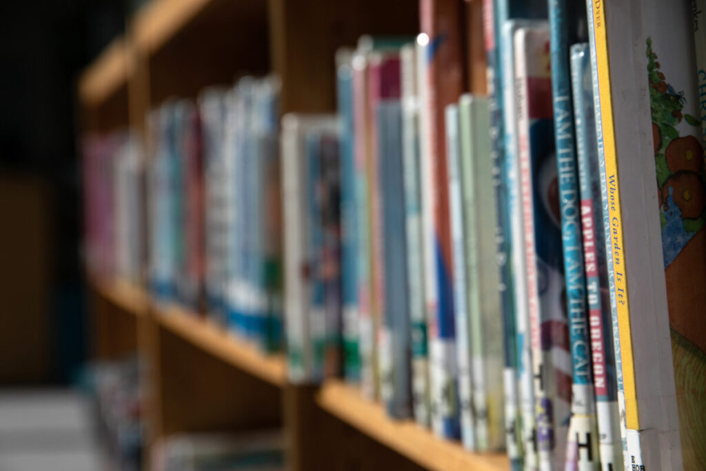 Virginia’s Loudoun County Pulls Sexually Explicit Book From School Libraries