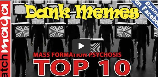 TOP 10 MEMES: Mass Formation Psychosis – Watch MAGA