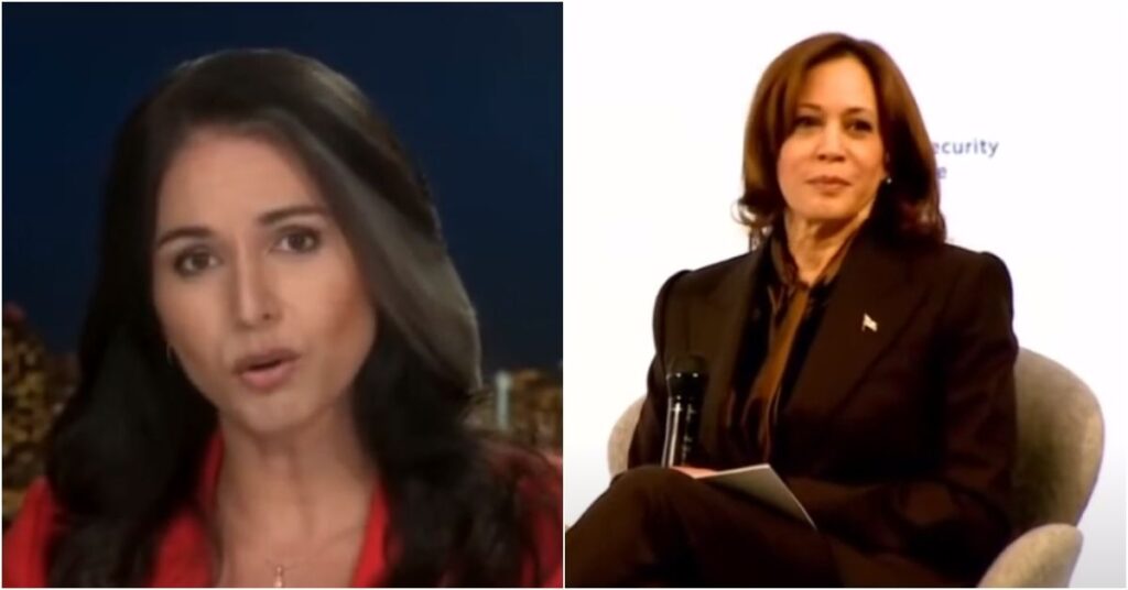 Tulsi Gabbard shreds Kamala Harris for ’embarrassing’ the U.S. in Germany: ‘This is not rocket science’