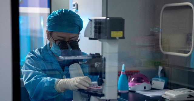 China Scientists Claim to Have Made A.I. ‘Nanny’ to Monitor Embryos in Lab Womb