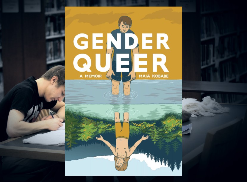 Graphic ‘Gender Queer’ Sex Books Marketed to Kids.
