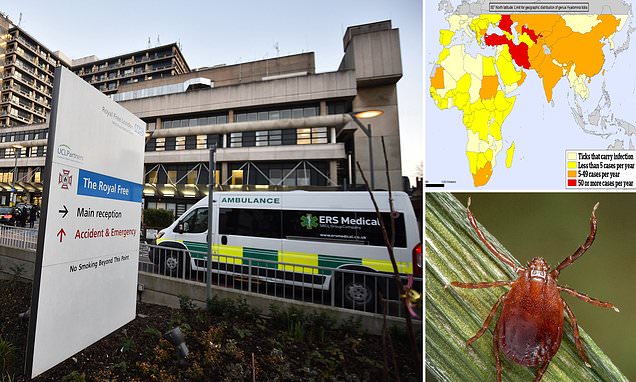 Woman in Cambridge is diagnosed with deadly 'eye-bleeding fever' after returning from Central Asia