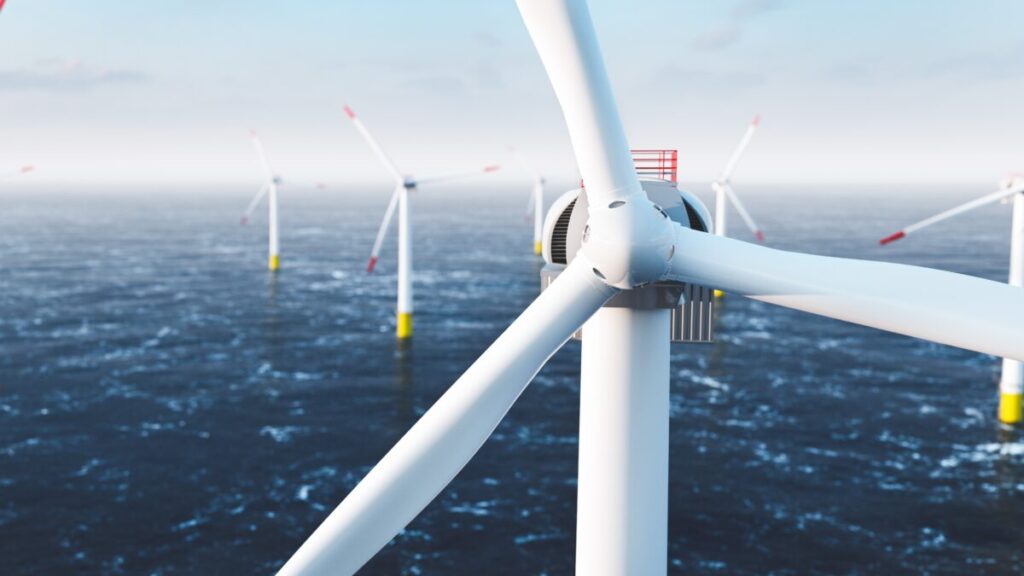 Enviro Groups Pocket Millions from Wind Industry: Report