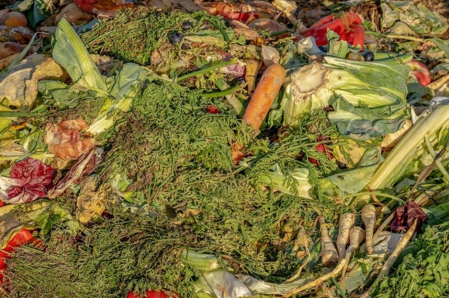 California's greenie 'food waste' law hits the reality wall