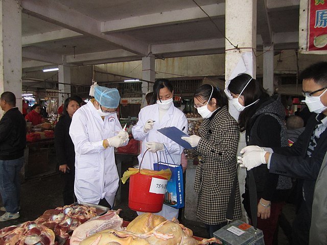 Bird Flu: China reports human H5N6 avian influenza case in Sichuan Province as deadly outbreak severely hits US, UK and Europe (videos)