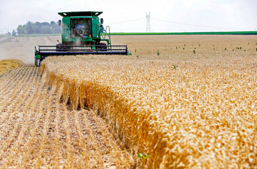 World Has Just ’10 Weeks’ of Wheat Supplies Left in Storage, Analyst Warns