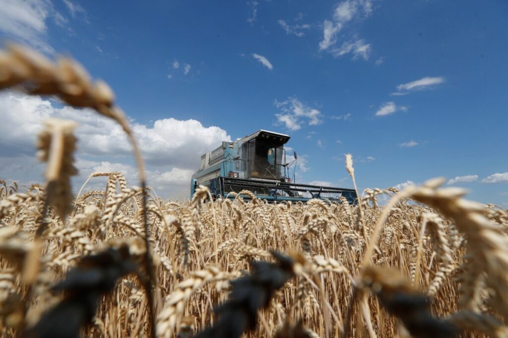 Global Food Supply Concerns Lead Some Countries to Limit Exports