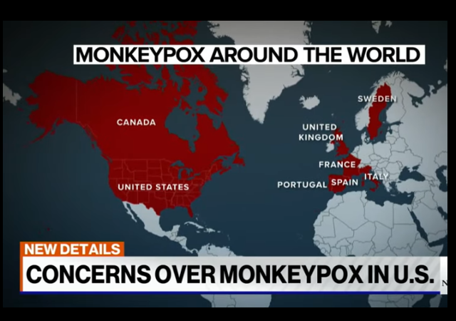 After 100 Monkeypox Cases Reported in Europe, WHO Calls Emergency Meeting