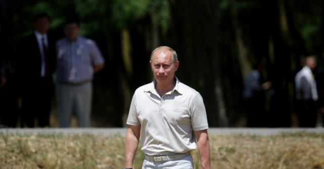 Putin: Ukrainian Sea Mines, Western Sanctions to Blame for Lack of Food Shipments, Not Russia