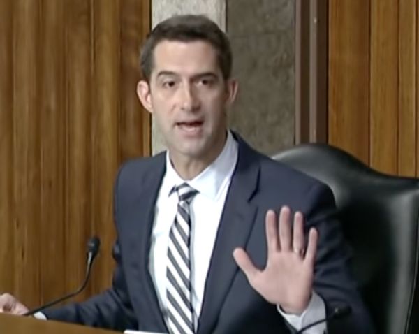 “This Is Going To Get People Killed:” Tom Cotton TORCHES Woke Military Brass Over Pathetic Standards (VIDEO)