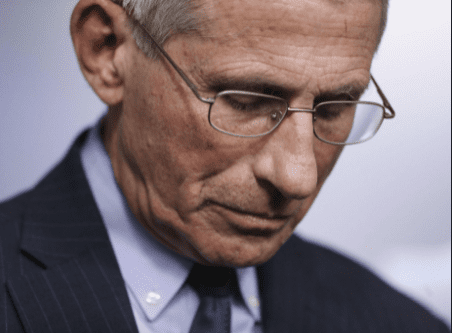 HUGE ANTI-FAUCI RALLY Planned At Univ of MI To Protest Commencement Speech by “Flip-Flop Fauci”...Here Are The Details
