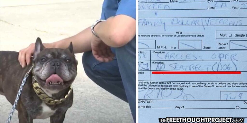 Police State Madness — Man Given Traffic Ticket for Not Having a Seatbelt ON HIS DOG
