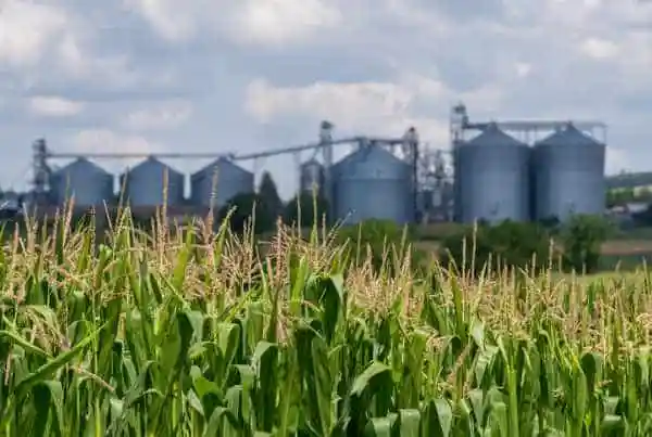 Ethanol Mandate Increases Inflation and Damages the Environment