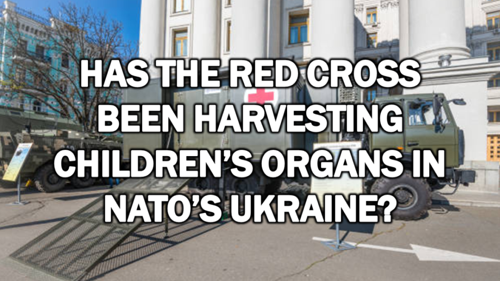 Has the Red Cross Been Harvesting Children’s Organs in NATO’s Ukraine?