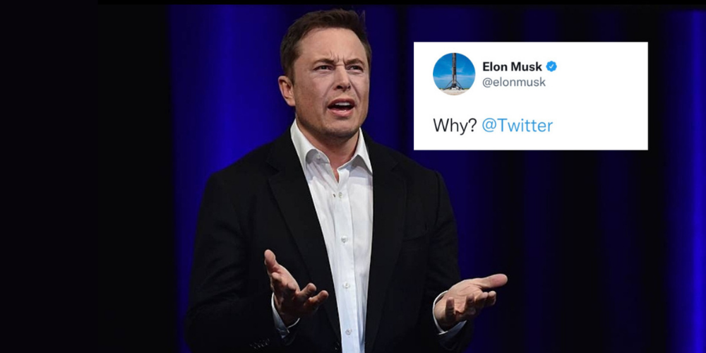 Elon Musk questions why Twitter allows death threats against Libs of TikTok