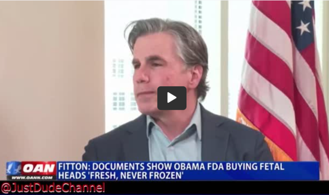 HORRORS Obama’s FDA Purchased ‘Fresh and Never Frozen’ Aborted Baby Heads and Other Body Parts